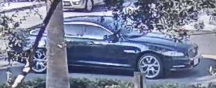 Irvine Police Seek Public’s Help Identifying Hit and Run Driver