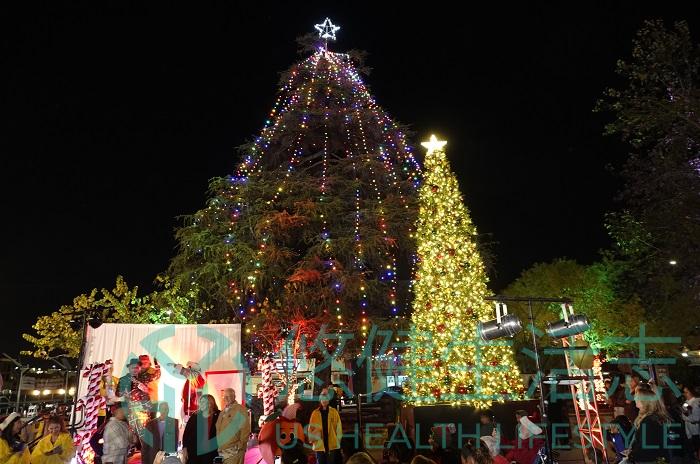 柯維納市隆重舉行點亮聖誕樹儀式 第三世多傑羌佛文化藝術館大力支持