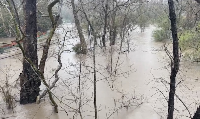 【銳視頻】華人親歷加州洪災   湍流車中救人一命！