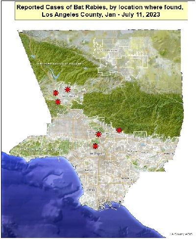 洛杉磯縣狂犬病蝙蝠地圖：警惕！夏季進入高發期