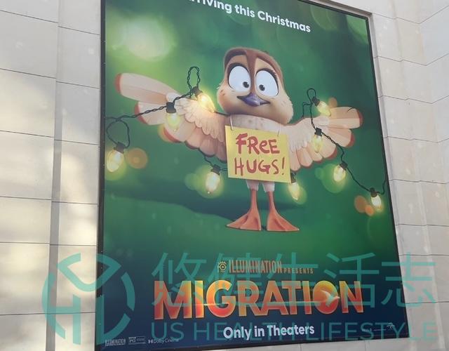 照明娛樂最新搞笑動畫《飛鴨向前衝》聖誕節上映，導演談創作啟發