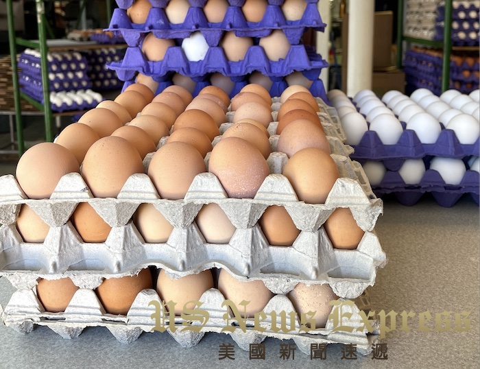 美國禽流感蔓延 蛋雞和乳牛價格會漲嗎？